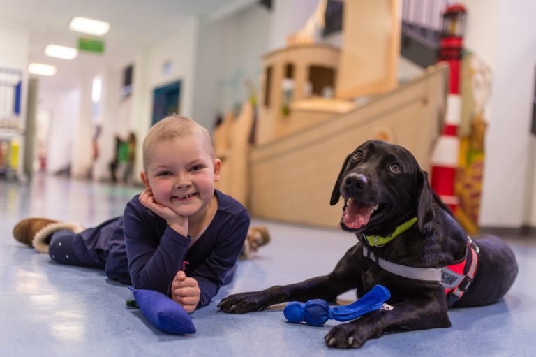 Mit dem richtigen Gespür Therapiehund in der Kinderklinik  Stiftung